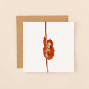 Baby Orangutan