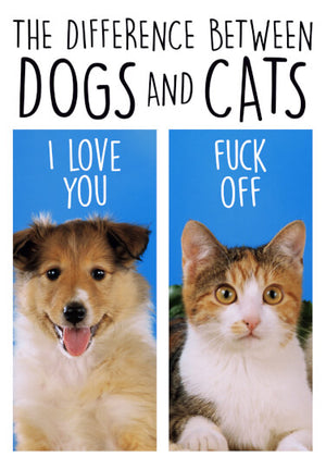 Difference Between Dogs & Cats