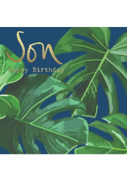 Son Happy Birthday