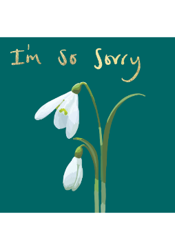 I'm So Sorry