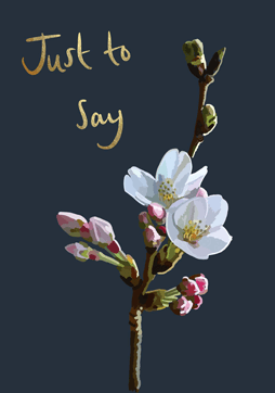 Just To Say