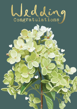 Wedding Congratulations