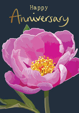 Happy Anniversary