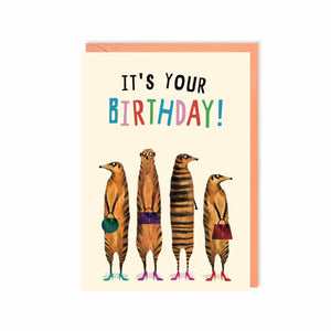 Birthday Meerkats