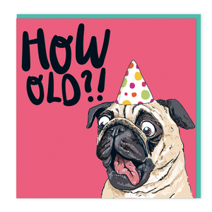 Pug How Old?!