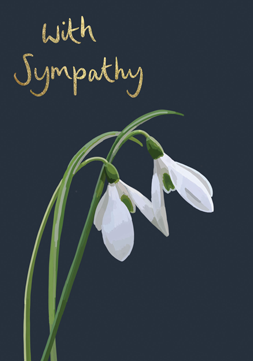 With Sympathy