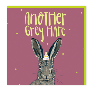 Another Grey Hare
