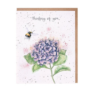 Thinking of You Hydrangea