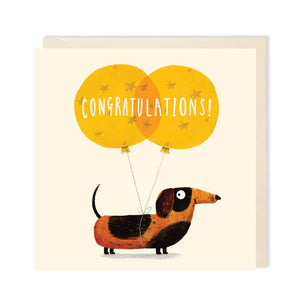 Congratulations Puppy