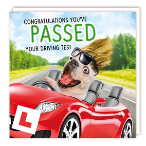 Gogglies - Passed Your Driving Test