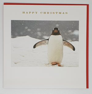 Penguin - Happy Christmas