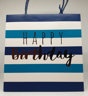 Navy & Teal Bag (Medium)