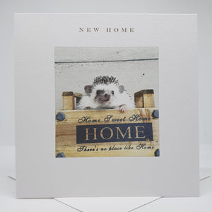 Hedgehog - New Home