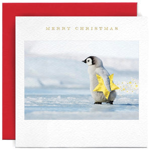 Penguin Star - Happy Christmas