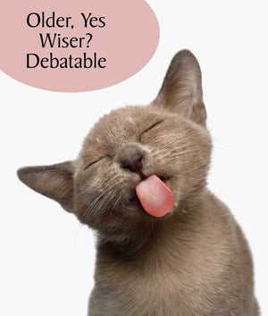 Older, Yes.  Wiser? Debatable