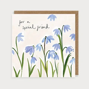 Scilla Special Friend