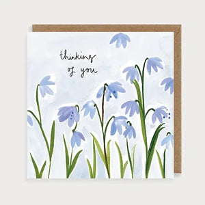 Scilla Thinking of You