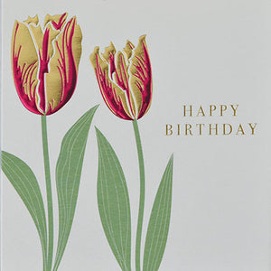 Happy Birthday Tulips