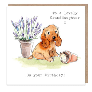 Lovely Granddaughter